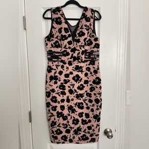 Size 12 Enfocus Studio Dress